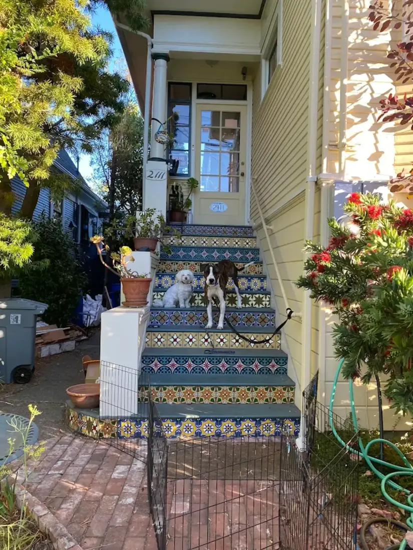 Two small dogs sitting on tiled steps of a house entrance